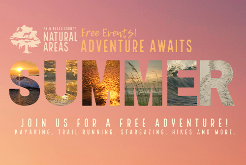 http://pbcauthor/NewsroomImages/0626/summer-awaits-th.jpg