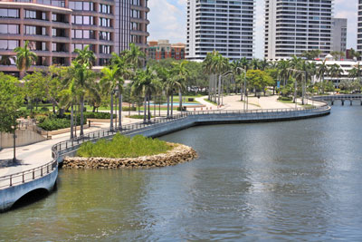 mangrove planter in West Palm Beach