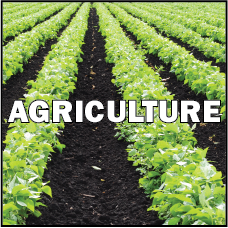 Agriculture button