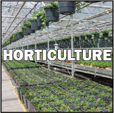 Horticulture button