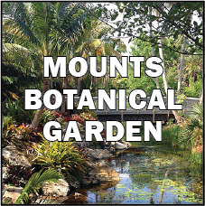 Link to Mounts Botanical Garden button
