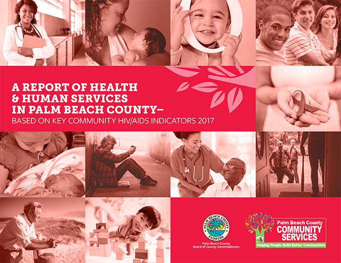 2017 AIDS Indicator Report