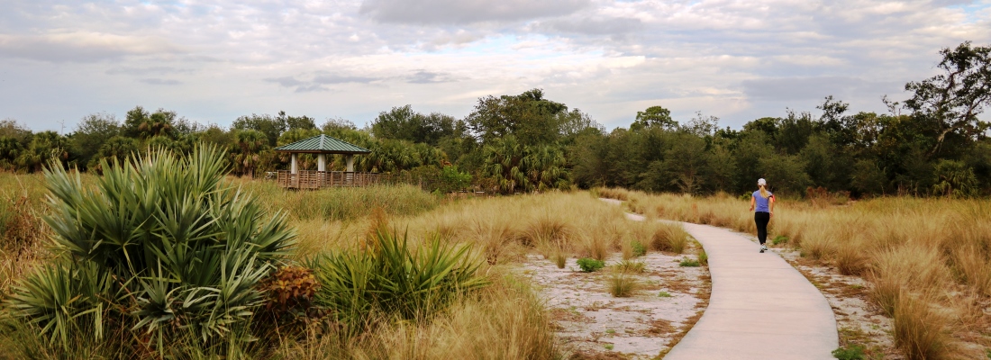 Person walking/jogging along a paved accessible trail to a covered obseravation platform in a Palm Beach County Natural Area