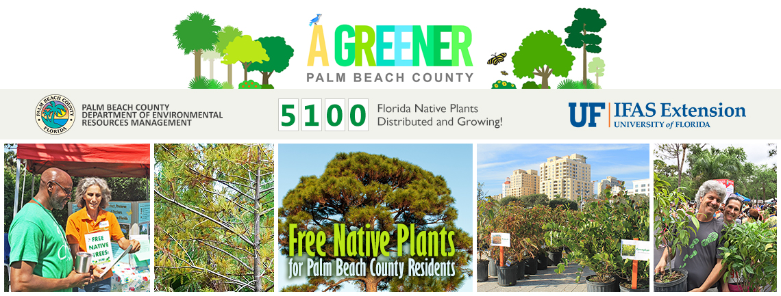 Banner showing "A Greener Palm Beach County" partnership begtween Palm Beach County ERM and University of Florida IFAS Extension