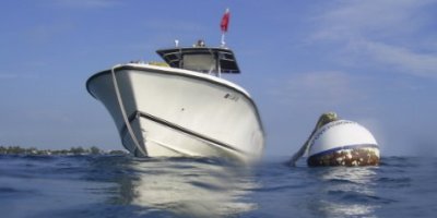 Picture of  a boat tied up to a mooring buoy in the ocean