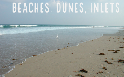 Picture Link to Shoreline Protection Program Web Page