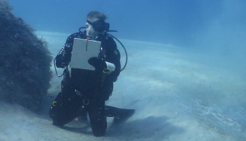 Picture of a scub diver underwater holidng a clipboard while observing reefs