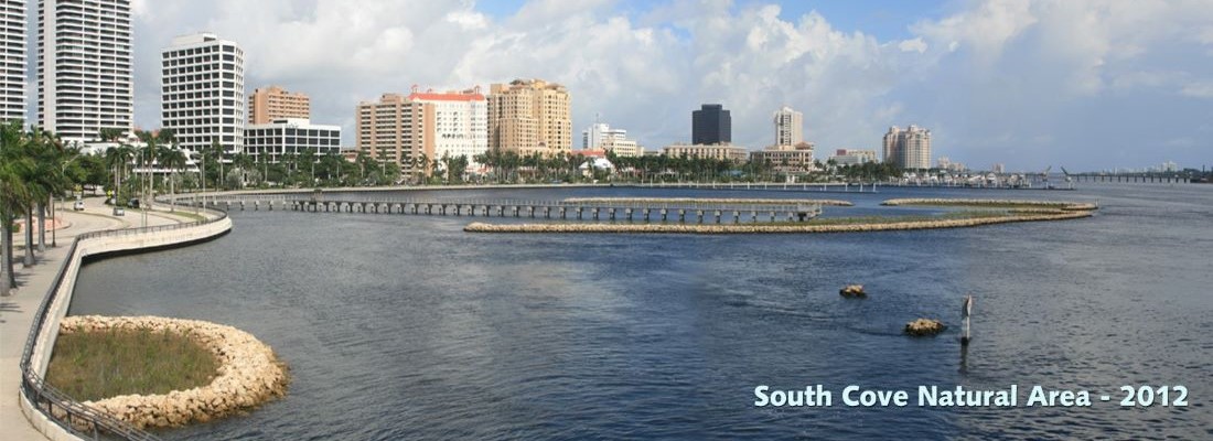 South Cove Restoration island in 2012
