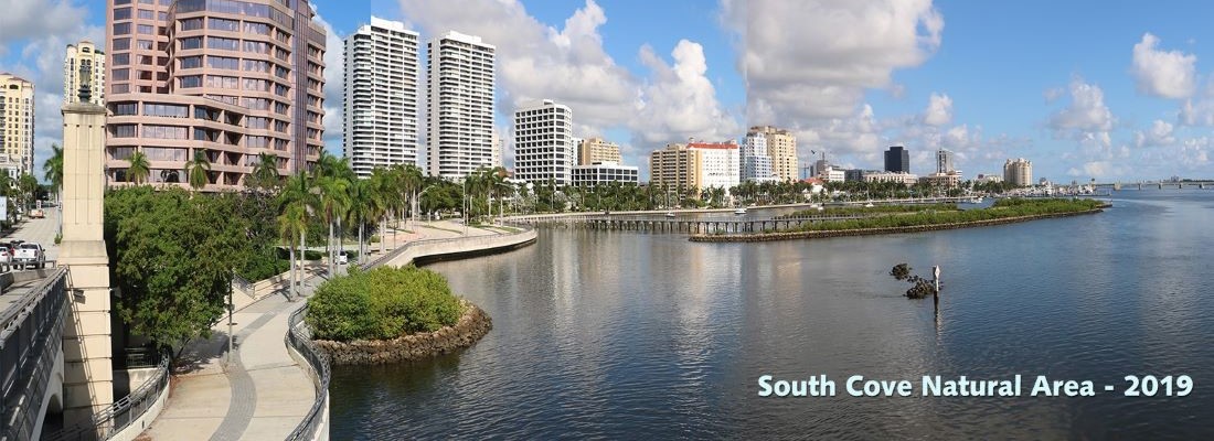 South Cove Restoration island in 2019 lush with mangrove trees