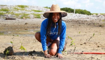Picture of a Volunteer planting a mangrove in Lake Worth Lagoon