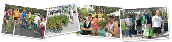 Set of four pictures showing people at events getting native plants