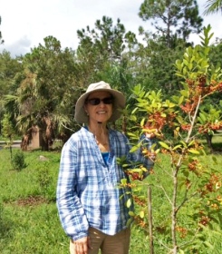 Person standing next to planted Dahoon Holly tree she recieved for free from Palm Beach County