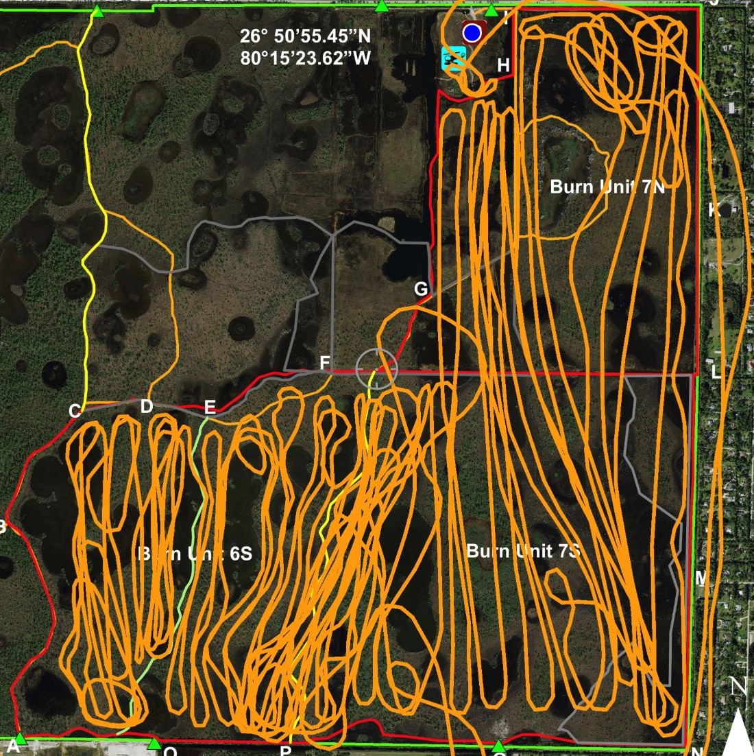 description of the image