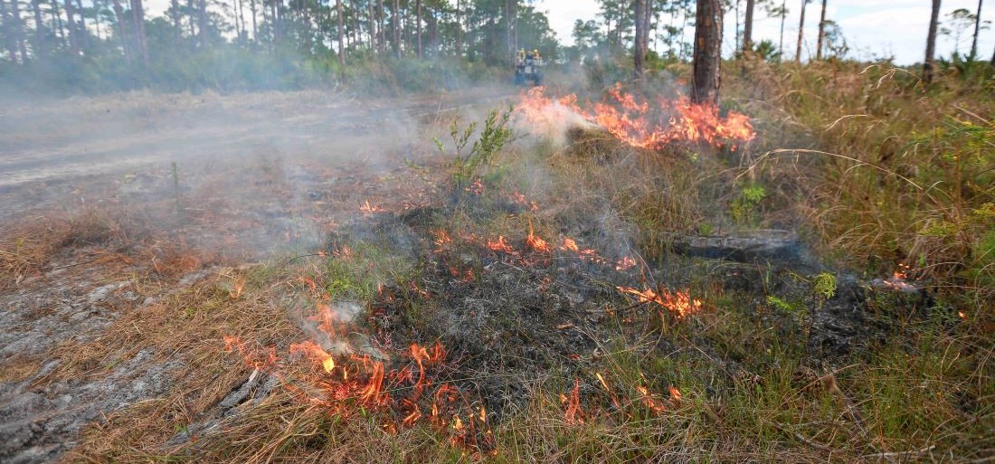 Image showing backing fire close up