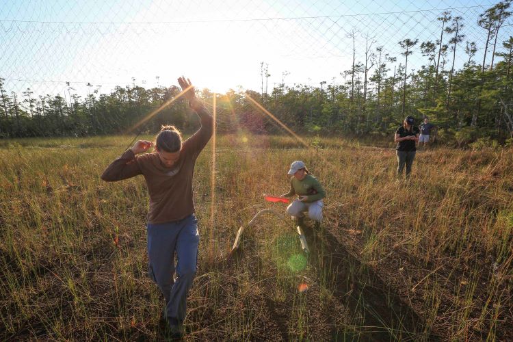 Team members setting up perch & netting.