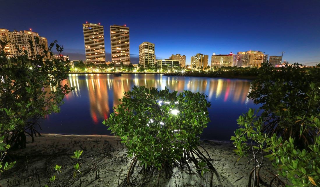 Image of Lake Worth Lagoon Estuary along the downtown West Palm Beach skyline