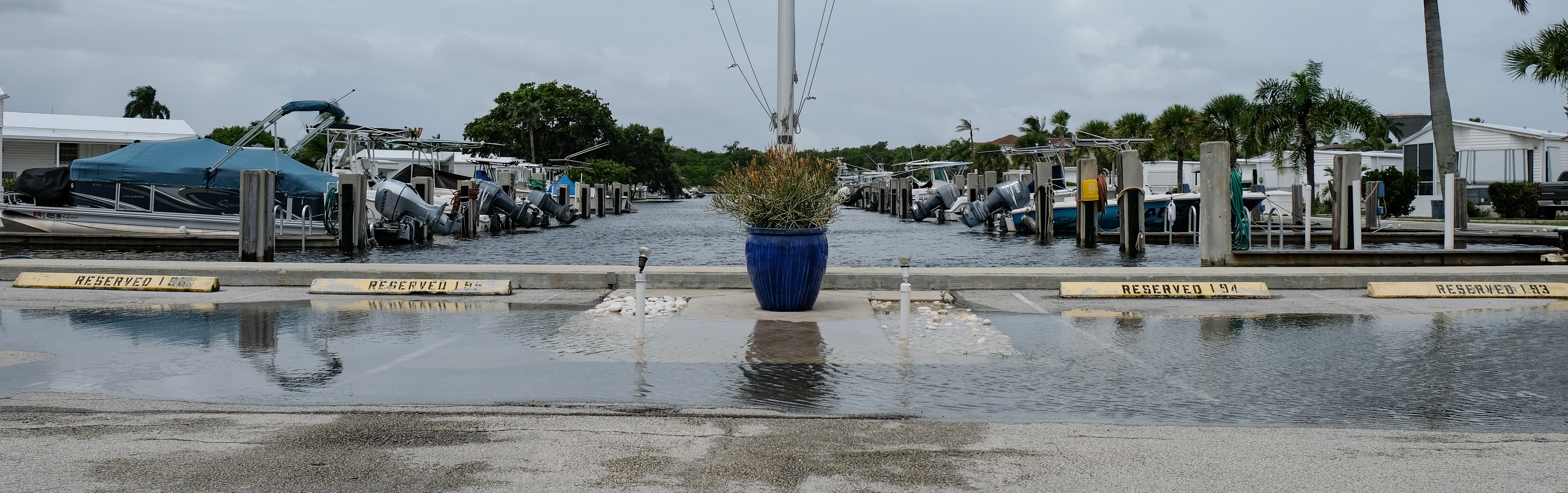 Kingtide.jpg