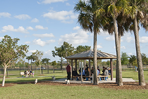 canine cove dog park