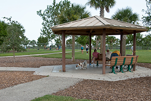 pooch pines dog park