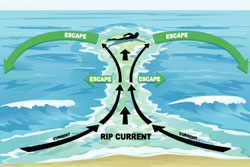 Rip Currents