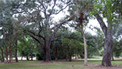 loxahatchee river battlefield park