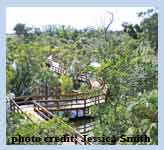 Daggerwing Nature Center photo