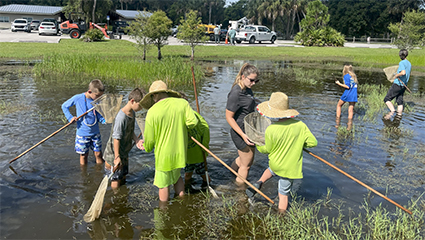 people participating in an activity