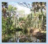 canoe trail