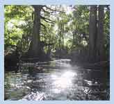 loxahatchee river