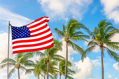 american flag and palm trees