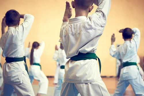 http://pbcauthor/parks/SiteImages/News/martial-arts.jpeg