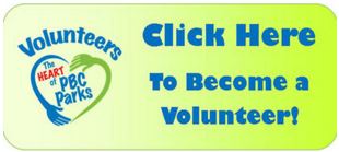 volunteer-green.jpg