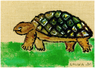animal art of a turtle