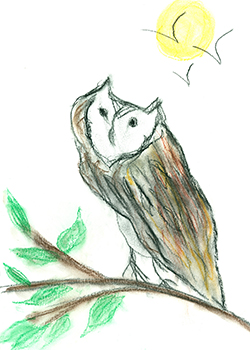animal art of a owl