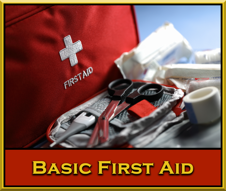 Basic First Aid