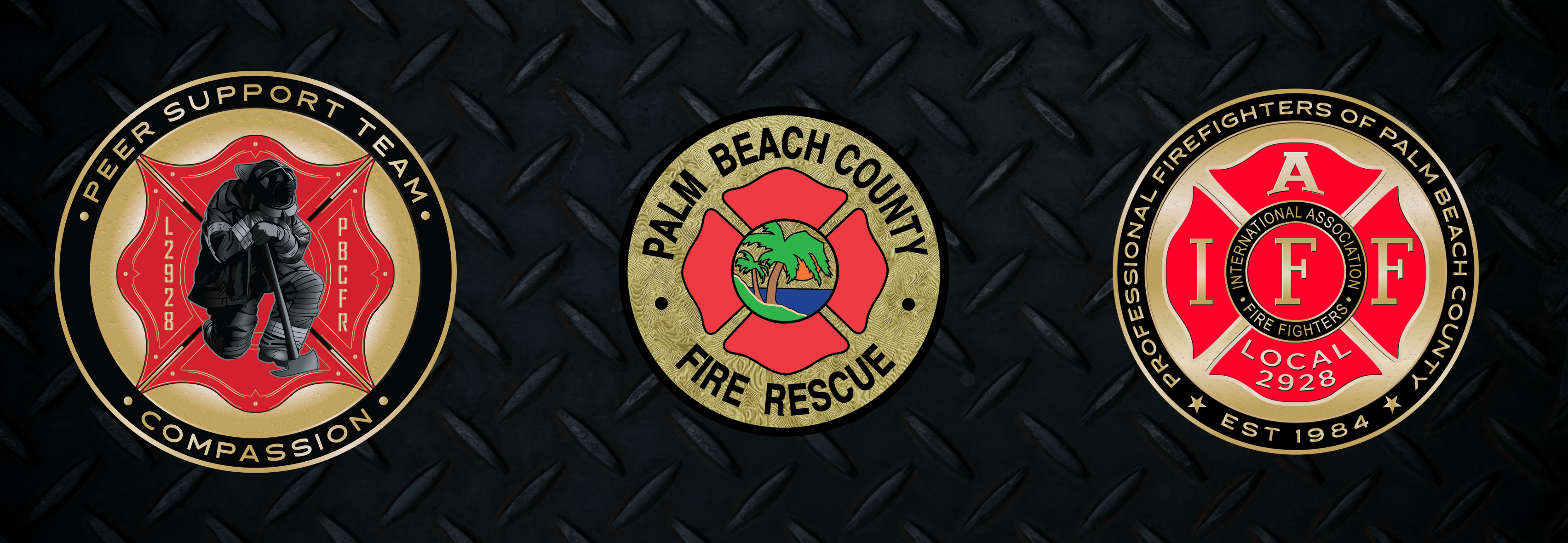 Image banner of Peer Support logo and PBCFR Seal