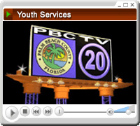 Your County Government