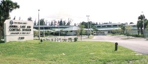 About Animal Care and Control