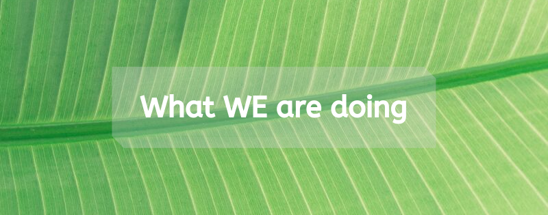 What WE are doing 