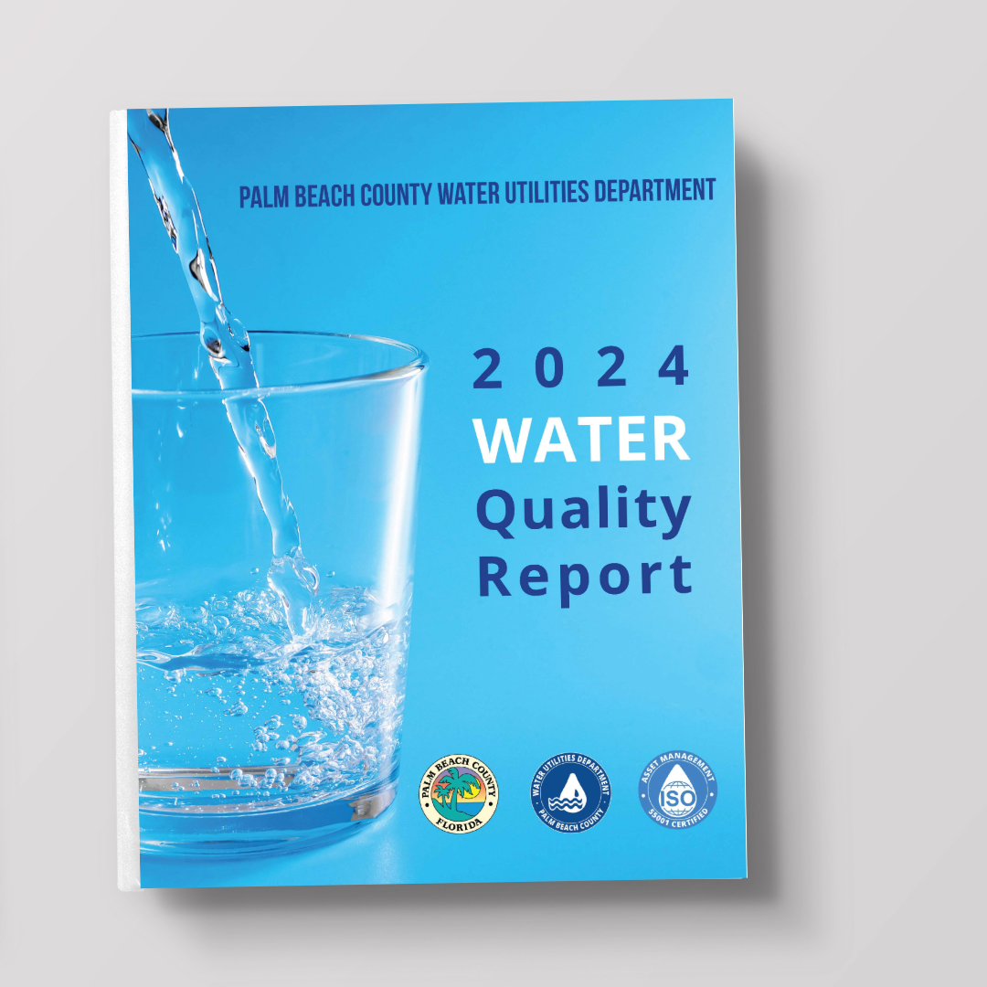 Picture of the the water quality report on a gray background
