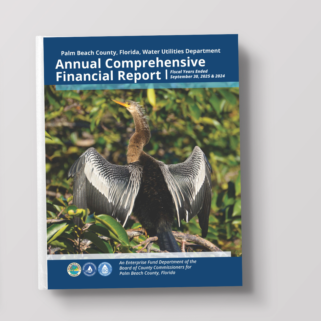 Picture of report cover