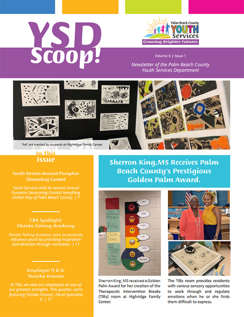 YSD Scoop cover image